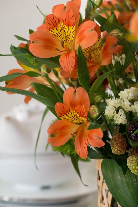 Alstroemeria Party. Orange Alstroemeria, Alstroemeria Bouquet, Peruvian Lilies, Boquette Flowers, Flower Therapy, Floral Color, Sugar Flowers, Floral Centerpieces, Cut Flowers