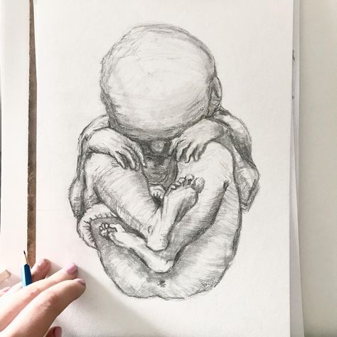 Anatomy study of a fetus in the womb by @kristakitszart from Leonardo da Vinci anatomical studies. Graphite on structural paper. . . . #anatomydrawing #anatomie #anatomietekening #fetusinwomb #fetusdrawing #fetus #anatomystudy #graphitedrawing #fingersandtoes #kristakitszart #artstudy #drawingartist #tekenaar #tekenkunst Baby In Womb Drawing, Stomach Drawing, Baby In Womb, Medical Drawings, Infant Mortality, Anatomy Study, Poster Drawing, Graphite Drawings, Anatomy Drawing