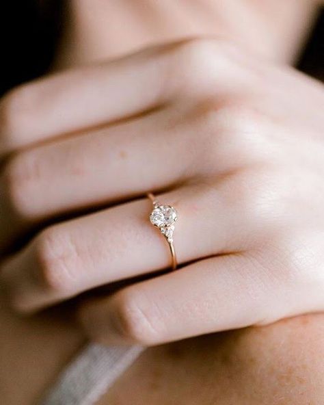 oval diamond simple classic engagement ring Tiffany Jewellery, Simple Classic Wedding, Rings Cheap, Gold Tiffany, Jewellery Organizer, Pink Wedding Rings, Jewellery Stand, Small Band, Jewellery Exhibition