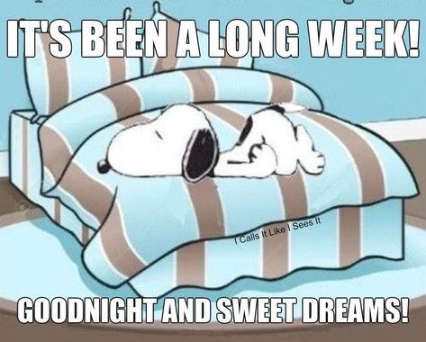 Goodnight Snoopy, Tired Funny, Woodstock Peanuts, Dear Best Friend, Snoopy Funny, Snoopy Images, Peanuts Cartoon, Snoopy Wallpaper, Snoopy Quotes