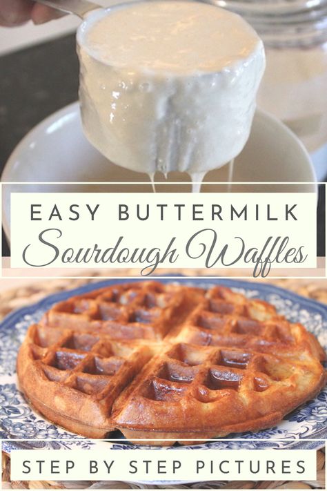 Buttermilk Sourdough, Sourdough Buttermilk, Benefits Of Fermented Foods, Easy Sourdough Starter, Sourdough Waffle Recipe, Buttermilk Waffles Recipe, Sourdough Waffles, Fermented Foods Benefits, Buttermilk Waffles