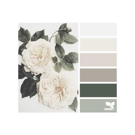 design seeds | for all who ♥ color ❤ liked on Polyvore featuring backgrounds, color palettes, colors, filler and palettes Palettes Color, Farmhouse Style Lighting, Color Schemes Design, Deco Studio, Color Schemes Colour Palettes, Kitchen Colour Schemes, Kitchen Paint Colors, Green Colour Palette, Design Seeds