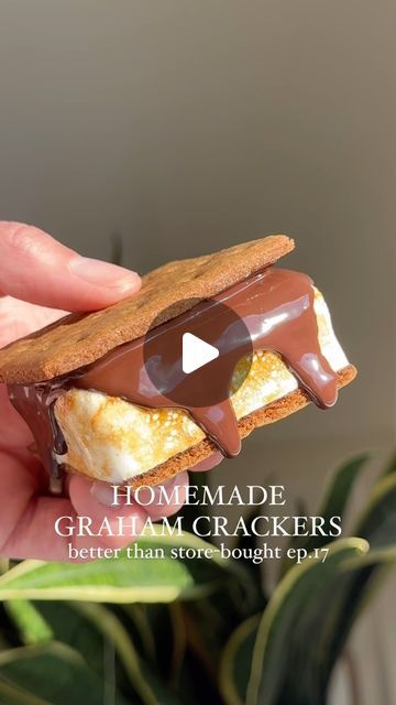 Lexi Harrison & Beth Sinclair on Instagram: "Homemade Graham Crackers for episode 17 of Better Than Store-Bought! These made for the BEST homemade s’mores!! @BobsRedMill #Partner 

Recipe below 👇 or comment ‘RECIPE’ and I’ll send the recipe straight to your DMs 💌

Graham crackers truly just taste 10x better homemade. They have so much more flavor than store-bought, and they’re no more difficult than making a simple dough, rolling it out, slicing and baking. 

The most important ingredient is @BobsRedMill 100% Stone Ground Whole Wheat Flour (plus their all purpose flour) for that characteristic nutty, rich flavor! Quality makes all the difference here, and you can NEVER go wrong with Bob’s Red Mill for baking 🫶 #BetterWithBobs

We paired these with homemade marshmallows and good quality Homemade Jaffa Cakes, Homestead Pantry, Confectionary Art, Graham Cracker Recipes, Crowded Kitchen, Chocolate Homemade, Homemade Graham Crackers, Jaffa Cake, Instagram Recipes