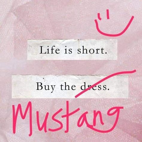 Mustang Quotes, Mustang Humor, Mustang Girl, Mustang Wallpaper, Pray For Love, Just Pray, Acura Nsx, Mustang Cars, Car Insurance Quotes