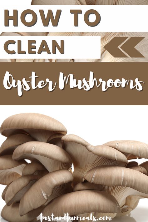 Oyster Mushroom Recipe, Cooked Oysters, Fresh Oysters, Oyster Mushrooms, Mushroom Recipes, Be Prepared, Of Course, Clean Eating, Get Started