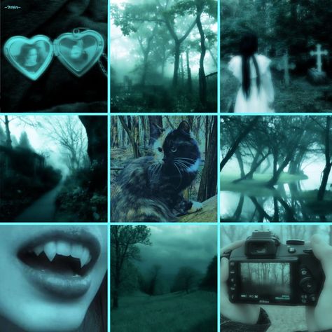 Fish Mood Board, Moodboard F2u, Werewolf Moodboard, Dnd Character Mood Board, Scene Moodboard, Animal Moodboard, Wolf Moodboard Aesthetic, Cat Moodboard, Fursona Moodboard