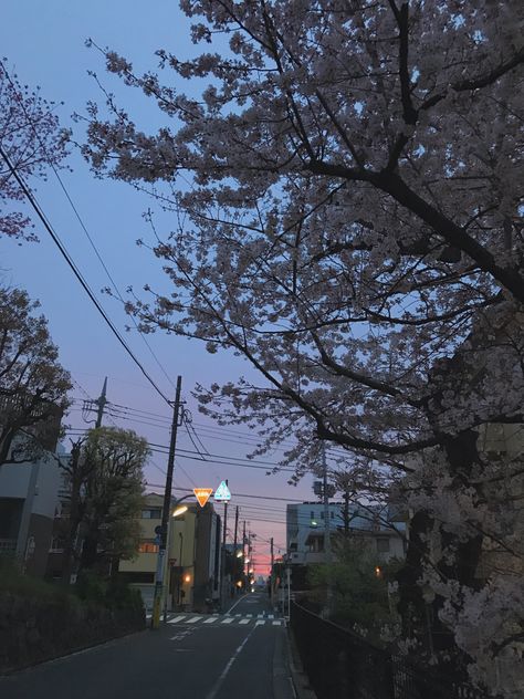 Sunset In Tokyo, Japanese Park Aesthetic, Living In Tokyo Aesthetic, Japan Aesthetic Purple, Tokyo Revengers Shifting, Tokyo Revengers Vibes, Tokyo Revengers Aesthetic, Tokyo Sunset, Japan Place