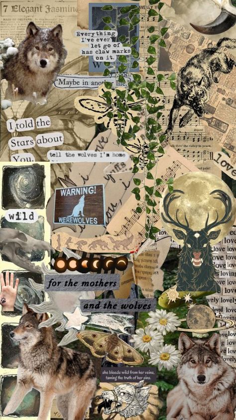 Aesthetic Therian Wallpaper, Wolf Astethic Wallpaper, Wolf Collage Wallpaper, Cute Therian Wallpaper, Wolf Drawing Aesthetic, Therian Wallpaper Ipad, Wolf Therian Wallpaper, Therian Aesthetic Wallpaper, Therian Phone Wallpaper