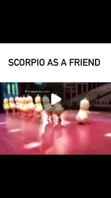 scorpio memes ♏ on Instagram: "Do you agree?♏💜 ~ Follow me @thescorpiongang for more scorpio memes😈 ~ #scorpio #horoscope #reels #viral" Scorpio Funny, Scorpio Horoscope, Follow Me, Memes, Funny, On Instagram, Quick Saves, Instagram