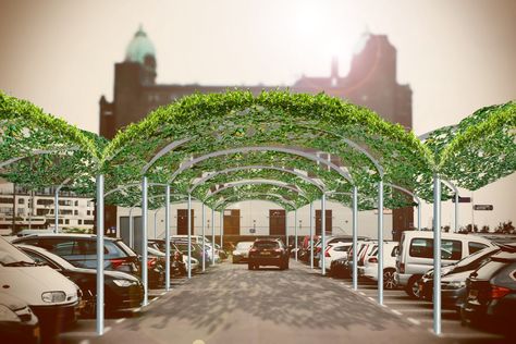 Roads and carparks can get inhumanely hot in summer. These plug-n-play green shading modules can be installed over any road or car park to… Cool Cities, Urban Forestry, Shading Device, Urban Heat Island, Car Shade, Garden Canopy, Landscape Landscape, Roof Installation, Landscape Architecture Design