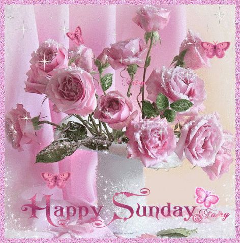 Happy Sunday Flowers And Butterflies Gif Happy Sunday Flowers, Sunday Morning Images, Sunday Gif, Happy Sunday Morning, Beau Gif, Sunday Greetings, Sunday Images, Good Morning Happy Sunday, Happy Sunday Quotes