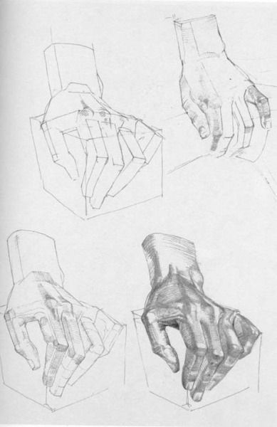 #bammes #artisticanatomy #anatomieartistique #künstlerischeanatomie #dessin #drawing #zeichnung #art #arte #kunst #zeven #zevendart Hand Anatomy, Academic Drawing, Human Anatomy Drawing, Hand Drawing Reference, Human Anatomy Art, Anatomy Sketches, Drawing Studies, Anatomy For Artists, Anatomy Drawing