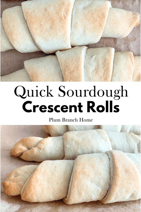 These beginner-friendly sourdough crescent rolls are flaky and can be made with sourdough discard! They're super easy to whip up and don't take a lot of time. Instead of getting Pillsbury canned crescent rolls make them at home with your starter. You'll save money and protect your body from harmful ingredients! Gluten Free Sandwich Bread Recipe, Easy Sourdough Bread Recipe, Sourdough Rolls, Sourdough Starter Discard Recipe, Homemade Sourdough Bread, Croissant Recipe, Sourdough Starter Recipe, Baking Bread Recipes, Crescent Roll Recipes