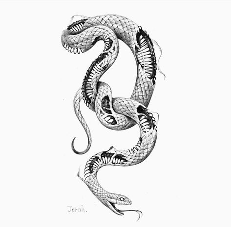 Half Snake Half Skeleton Tattoo, Scary Snake Tattoo, Snake Tattoo Between Chest, Snake Skeleton Tattoo Arm, Skeletal Snake Tattoo, Snake Skeleton Drawing, Skeleton Snake Tattoo, Basilisk Tattoo, Snake Skeleton Tattoo