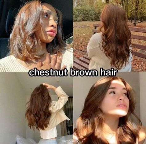 Check out our hair color board for more hair color ideas and hair color inspiration comment and follow for more Chestnut Brown Hair On Tan Skin, Brown Hair For Tan Skin, Hair Colour For Tan Skin, Hair Colour Ideas For Pale Skin, Tan Skin Hair Color Ideas, Hair Colors For Tan Skin, Hair Color For Pale Skin, Brown Hair Pale Skin, Euphoria Hair