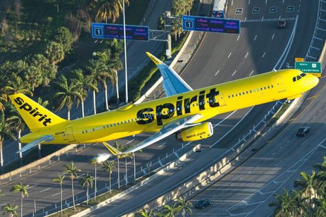 Spirit Airlines invades Miami Commercial Plane, Summer Schedule, Airline Company, Spirit Airlines, Los Angeles International Airport, American Airlines, World Of Sports, Paint Schemes, Travel Information