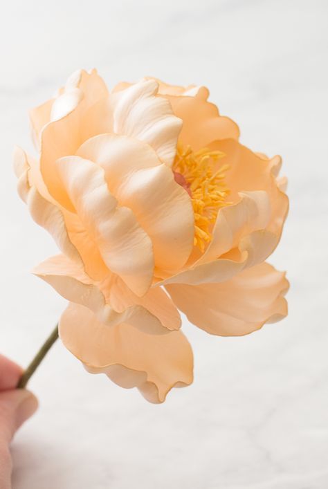 Gumpaste Flowers Tutorial, Gum Paste Flowers Cake, Peony Tutorial, Gum Paste Flowers Tutorials, Fondant Tips, Sugar Paste Flowers, Sugar Flowers Tutorial, Fondant Flower Tutorial, Fondant Figures Tutorial