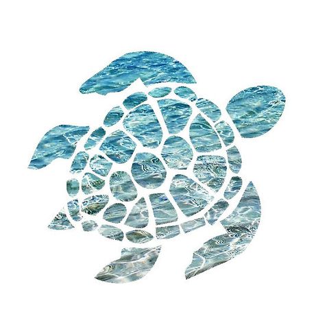 Sea Turtle Sea Turtle Wallpaper, Turtle Background, Beachy Wallpapers, Kayak Stickers, Sea Turtle Pictures, Turtle Wallpaper, Turtle Sticker, Turtle Images, Beach Wall Collage