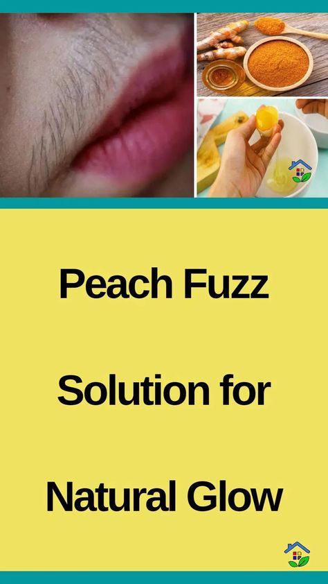 Take control of your beauty and get ready to bid Farewell to peach fuzz with these two grandma recipes to get rid of that annoying facial hair. Peach fuzz is the soft, fine hair that develops naturally on the face, particularly on the upper lip. It is known as “peach fuzz” because it resembles the […] Peach Fuzz On Face, Peach Fuzz Removal, Grandma Recipes, Upper Lip Hair, Face Home, Peach Hair, Grandmas Recipes, Peach Fuzz, Upper Lip