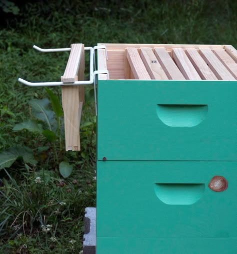 Honey Bees Keeping, Drone Bee, Plantarea Legumelor, Bee Hive Plans, Backyard Bee, Beekeeping For Beginners, Raising Bees, Bee Supplies, Beekeeping Equipment