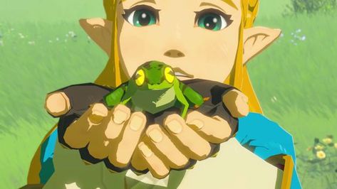 Botw Zelda, Princesa Zelda, Legend Of Zelda Memes, Zelda Funny, Zelda Botw, Frog Tattoos, Hyrule Warriors, Link Zelda, Frog Art