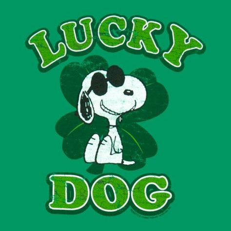 Lucky Dog Brown Pics, Snoopy Kids, Peanuts Quotes, Peanut Gang, Peanuts Comic Strip, Peanuts Cartoon, Snoop Dog, Irish Eyes, Joe Cool