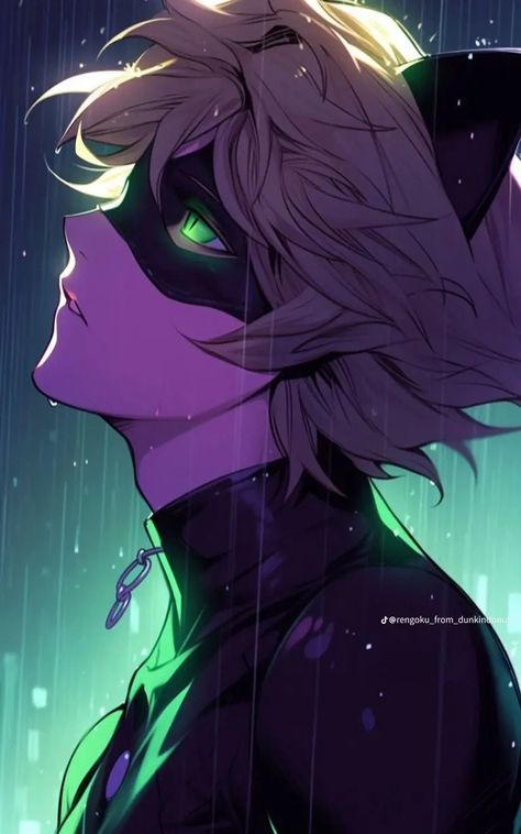 Cat Noir Cosplay, Adrien Miraculous, Lion King Drawings, Beauty And The Beast Movie, Ladybug And Cat Noir, Ladybug Wallpaper, Miraculous Ladybug Oc, Miraculous Wallpaper, Miraculous Ladybug Wallpaper