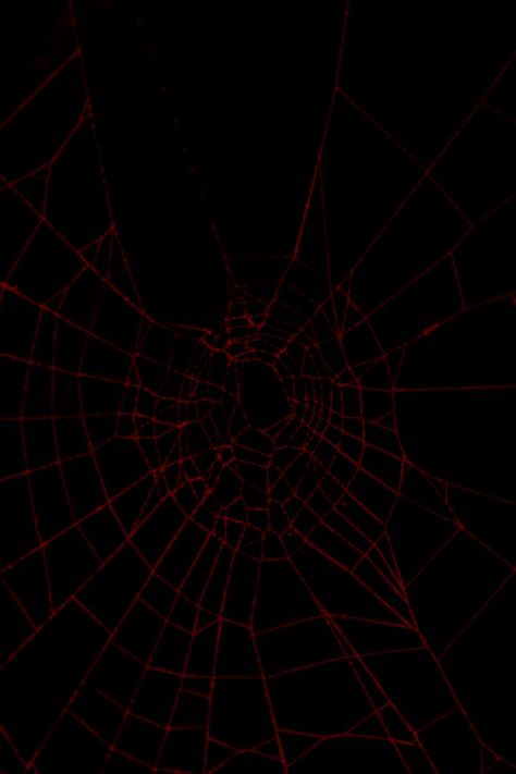 Cobweb Wallpaper, Red Halloween, Halloween Pins, Phone Theme, Aesthetic Pics, Phone Themes, Black White Red, Aesthetic Pictures, White And Black