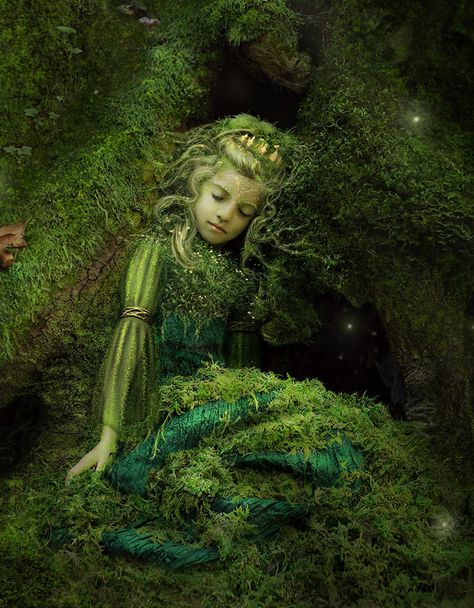 Fantasy Photography, Real Model, Fairy Art, Green Man, Enchanted Forest, Green Plants, Mythical Creatures, Fantasy Art, Fairy Tales