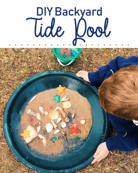 Don't live near the ocean? Make an easy backyard tide pool to explore with your children! #oceanstudy #oceanscience #homeschool #handsonlearning #scienceforkids #tidepool #scienceactivity Tide Pool Decorations Vbs, Tide Pool Decorations, Tide Pool Activities, Ocean Science Activities, Camp Plans, Plastic Bird Bath, Intertidal Zone, Science Activity For Kids, Ocean Zones