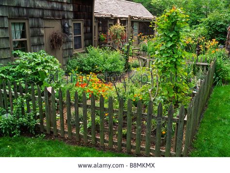 Colonial Style Garden, Colonial Kitchen Garden, Colonial Garden Ideas, Colonial Garden Design, New England Vegetable Garden, Hobbit Cottage, Herb And Vegetable Garden, Gardening Beds, Garden Construction