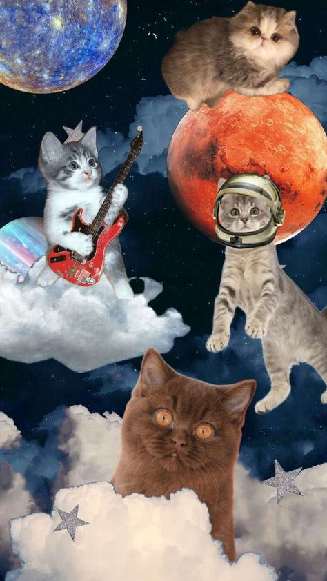 Starfire And Raven, Skate Art, Simple Phone Wallpapers, Space Girl, Puff And Pass, Cat Wallpaper, Sketchbook Art Inspiration, All About Cats, Live Wallpapers