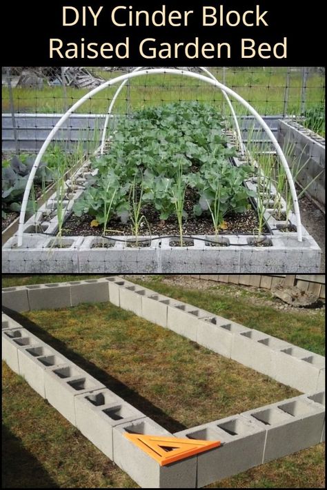 What sort of produce will you be growing in your cinder block raised garden bed? Cinder Block Raised Garden Bed, Cinder Block Raised Garden, Backyard Upgrades, Cinder Block Garden, Building A Raised Garden, Diy Raised Garden, Shower Diy, Backyard Vegetable Gardens, Inspiration Kitchen