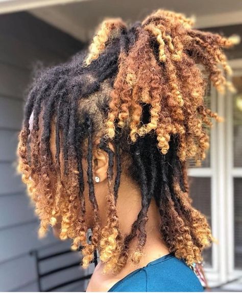 @curlynaturalhairnashay on Instagram: “Natural hair locs with curly ends” Curly Dreads, Blonde Dreadlocks, Beautiful Dreadlocks, Short Locs Hairstyles, Dreadlock Styles, Goddess Locs, Dreadlock Hairstyles, Natural Hair Inspiration, Hair Crush