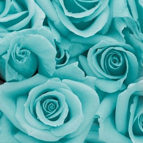 Turquoise Aesthetic, Couleur Rose Pastel, Mint Aesthetic, Flower Background Iphone, Pink Passion, Turquoise Wallpaper, Light Blue Aesthetic, Pink Stuff, Blue Aesthetic Pastel