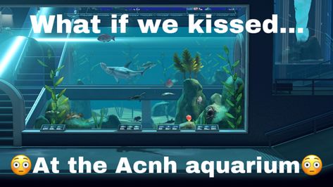 Acnh Aquarium, What If We Kissed On The, Starcrossed Lovers, What If We Kissed, Happy Brain, We Kissed, Animal Crossing Guide, Niche Memes, Star Crossed Lovers