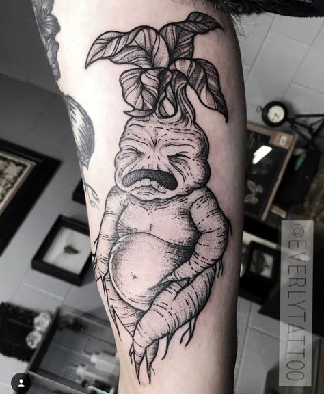 Harry Potter mandrake blackwork tattoo Harry Potter Mandrake, Harry Potter Tattoo Sleeve, Harry Potter Creatures, Hogwarts Tattoo, Succulent Tattoo, Partner Tattoos, Harry Tattoos, Pagan Tattoo, Hp Tattoo