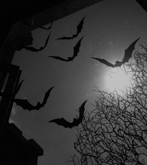 Bat Wallpaper Aesthetic Dark, Wayne Core, Goth Wallpapers, Bat Aesthetic, Gothic Academia, Vampire Vibes, Iphone Widgets, Zodiac Academy, Vampire Goth