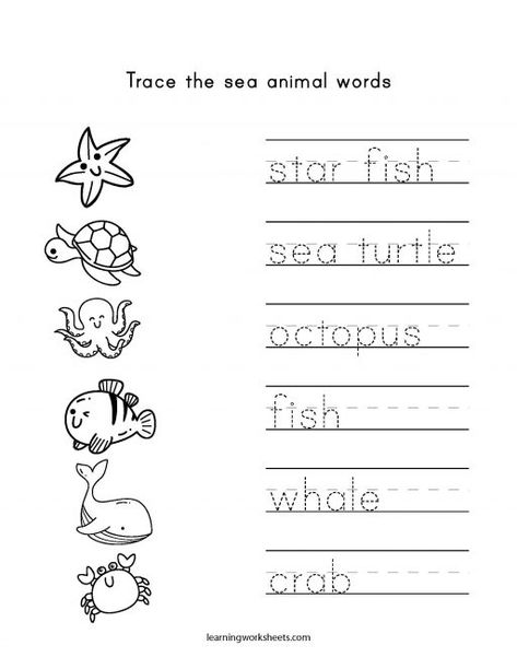 Animals In The Sea Preschool, Sea Life Worksheets Preschool, Ocean Life Worksheets Preschool, Sea Animals For Preschoolers, Jellyfish Worksheets Preschool, Ocean Animals Preschool Free Printable, Sea Animals Worksheets For Preschool, Ocean Animals Kindergarten Activities, Sea Animal Worksheets Preschool