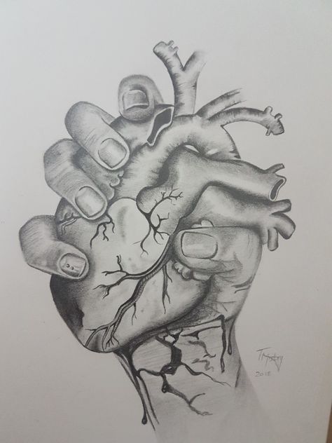 Hand Holding Heart, Human Heart Tattoo, Hands Holding Heart, Holding Heart, Pencil Sketch Drawing, Afrique Art, Heart Sketch, Heart Drawing, Heart Painting