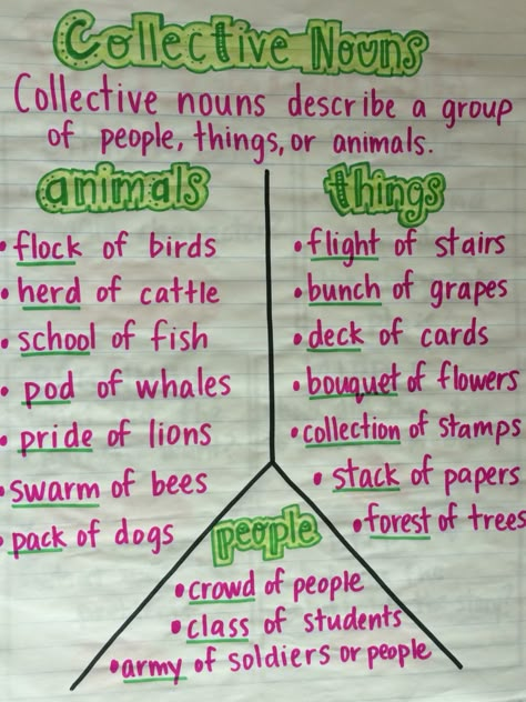 L.2.1 collective nouns Noun Project Ideas, Collective Nouns Anchor Chart, Collective Nouns Activities, Nouns Worksheet, Collective Nouns, Teaching English Grammar, Notes Ideas, Teaching Grammar, English Writing Skills