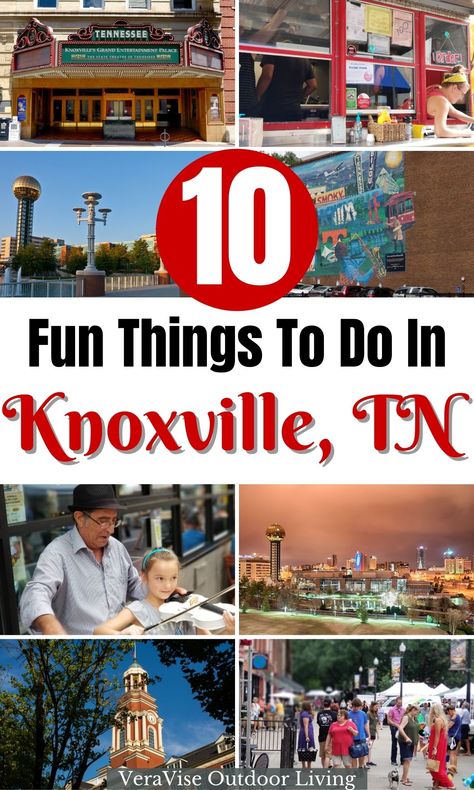 Things To Do In Knoxville, Smokey Mountains Vacation, Outdoor Date, Homeschool Field Trips, Book Bar, Tennessee Vacation, Market Square, Mountain Vacations, Knoxville Tennessee