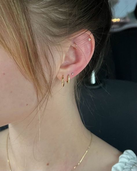 Peircings Earring Minimalist, Ear Piercing On Top Of Ear, Sophisticated Ear Piercings, Ear Piercing Elegant, Eat Piercing Placement, Minimal Curated Ear, Ear Pearcing Girl, Getting Ears Pierced Aesthetic, Boho Piercings Ears