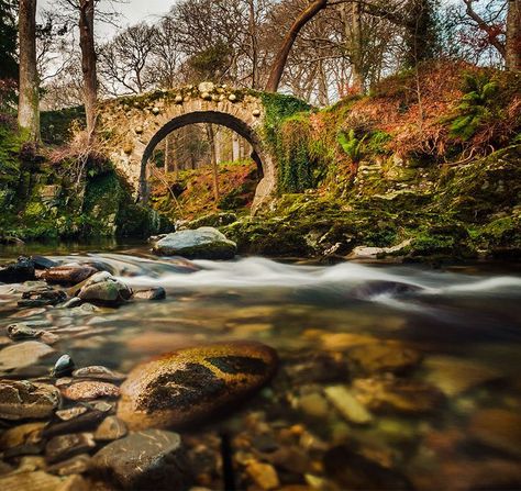 Foley bridge, Tollymore Forest, Bryansford, Co. Down Ireland Aesthetic, Best Of Ireland, Uk Landscapes, Scotland Landscape, Ireland Photography, Scenic Travel, Irish Landscape, Between Two Worlds, Beautiful Landscape Photography