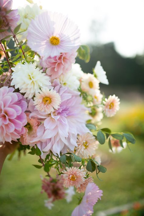 Cosmos Wedding Bouquet, Dahlia Bridal Bouquet, Dahlia Wedding Bouquets, Farmers Market Flowers, Dahlias Wedding, Dahlia Bouquet, Aster Flower, Charlottesville Virginia, Pastel Wedding