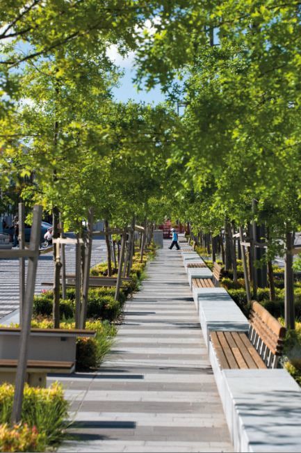 The Victorian chapter of the Australian Institute of Landscape Architects announces its 2012 awards. Median Landscaping, Streetscape Design, Plaza Design, Taman Air, Gardening Design, Urban Landscape Design, Public Space Design, Gardening Landscaping, Landscaping Garden