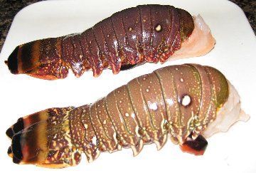 Cooking Frozen Lobster Tails, Baked Lobster, Baked Lobster Tails, Cooking Lobster, Frozen Lobster Tails, Lobster Cake, Bbq Foods, Lobster Bisque Recipe, Cooking Lobster Tails