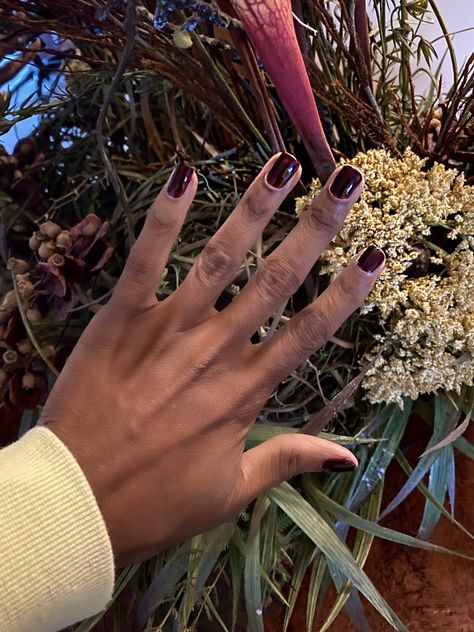 Opi Complimentary Wine, Fall Collection, Brown Skin, Fall Collections, Get The Look, Makeup Inspiration, Hair And Nails, Muse, Milan