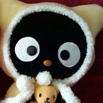 Choco Cat Aesthetic, Hello Kitty Themes, Cat Icon, Hello Kitty Pictures, Www Pinterest Com, Sanrio Characters, Cute Characters, Toy Store, Cute Black