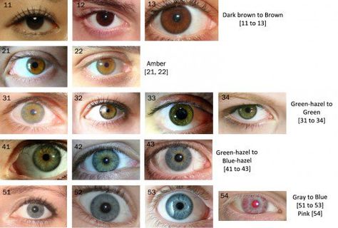 The human eye color chart: It could be useful or even interesting to navigate a spectrum of selected eye colors and shades to get an idea where one’s eye color falls. Tawny Eyes, Eye Color Chart Genetics, Shades Of Brown Eyes, Rare Eye Colors, Eye Color Chart, Rare Eyes, Hazel Color, Birth Colors, Amber Eyes